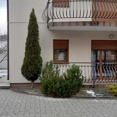 Apartments With A Parking Space Fuzine, Gorski Kotar - 19537 Екстериор снимка
